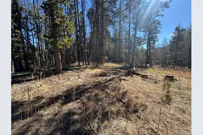 Lot 14X Wallace Avenue, Conifer, CO 80433 - Photo 33