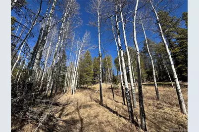 Lot 14X Wallace Avenue, Conifer, CO 80433 - Photo 17