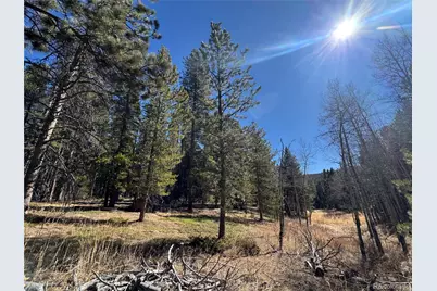 Lot 14X Wallace Avenue, Conifer, CO 80433 - Photo 7