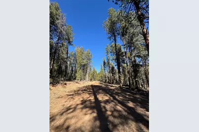 Lot 14X Wallace Avenue, Conifer, CO 80433 - Photo 27