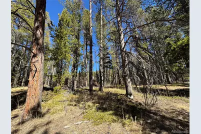 Lot 14X Wallace Avenue, Conifer, CO 80433 - Photo 5