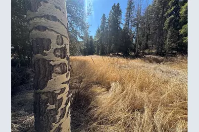 Lot 14X Wallace Avenue, Conifer, CO 80433 - Photo 23