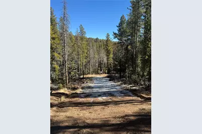Lot 14X Wallace Avenue, Conifer, CO 80433 - Photo 29