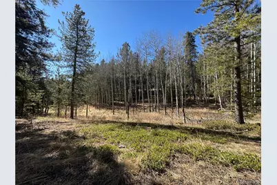 Lot 14X Wallace Avenue, Conifer, CO 80433 - Photo 15