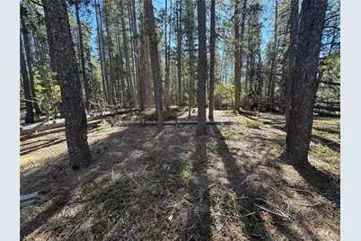 Lot 14X Wallace Avenue, Conifer, CO 80433 - Photo 19