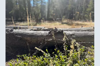 Lot 14X Wallace Avenue, Conifer, CO 80433 - Photo 35