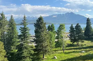 160 E La Bonte Street, Dillon, CO 80435 - Photo 27