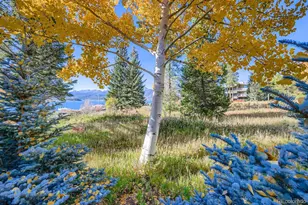 160 E La Bonte Street, Dillon, CO 80435 - Photo 23