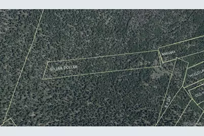 000 Silver Dollar Lode, Georgetown, CO 80444 - Photo 1