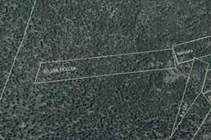 000 Silver Dollar Lode, Georgetown, CO 80444 - Photo 1