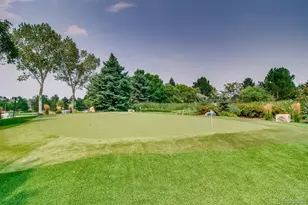 8578 Gold Peak Dr, Highlands Ranch, CO 80130 - Photo 27