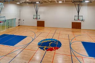 8578 Gold Peak Dr, Highlands Ranch, CO 80130 - Photo 35