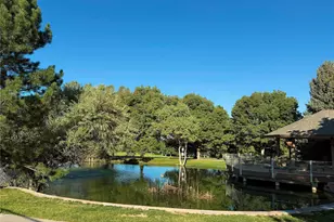 8578 Gold Peak Dr, Highlands Ranch, CO 80130 - Photo 27