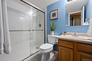 10445 Cheetah Winds, Lone Tree, CO 80124 - Photo 33