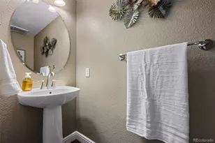 10445 Cheetah Winds, Lone Tree, CO 80124 - Photo 19