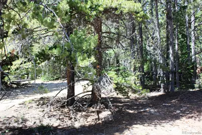 00 Fs 412.1J, Black Hawk, CO 80422 - Photo 31