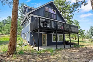 198 Blueberry Trl, Bailey, CO 80421 - Photo 35