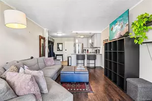 909 N Logan Street, Denver, CO 80203 - Photo 13