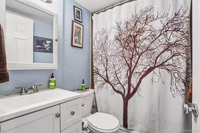 909 N Logan Street #5B, Denver, CO 80203 - Photo 35