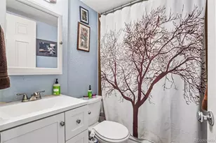 909 N Logan Street, Denver, CO 80203 - Photo 35