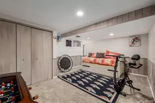 2946 S Moline Pl, Aurora, CO 80014 - Photo 29