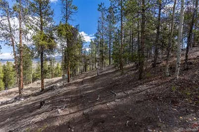 86 Mt Elbert Road, Twin Lakes, CO 81251 - Photo 5