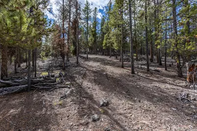 86 Mt Elbert Road, Twin Lakes, CO 81251 - Photo 9
