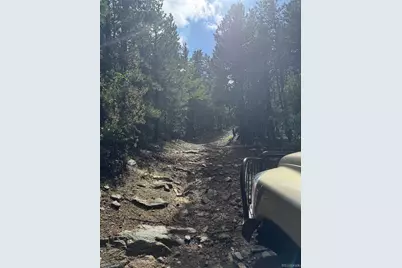 005 Roy Smith Road, Central City, CO 80427 - Photo 9