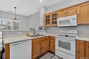 167 Whitehaven Cir, Highlands Ranch, CO 80128 - Photo 15