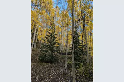 288 Roberts Road, Alma, CO 80420 - Photo 21