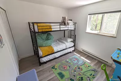 288 Roberts Road, Alma, CO 80420 - Photo 9