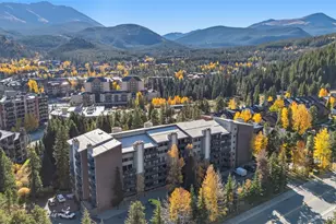 455 Village Rd, Breckenridge, CO 80424 - Photo 33