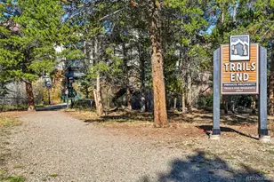 455 Village Rd, Breckenridge, CO 80424 - Photo 31