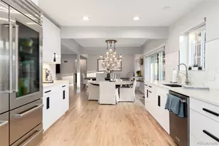 215 Ivanhoe St, Denver, CO 80220 - Photo 21