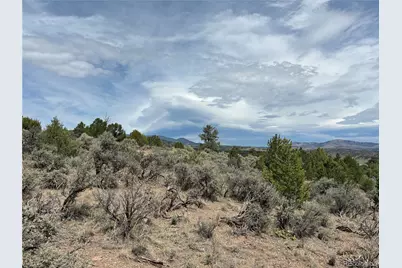 Lot 4546 Beekman Road, Fort Garland, CO 81133 - Photo 5