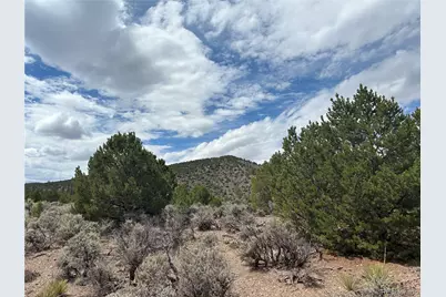Lot 4546 Beekman Road, Fort Garland, CO 81133 - Photo 15