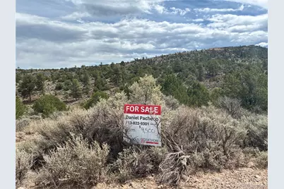 Lot 4546 Beekman Road, Fort Garland, CO 81133 - Photo 3