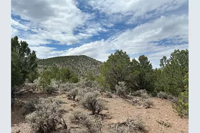 Lot 4546 Beekman Road, Fort Garland, CO 81133 - Photo 13