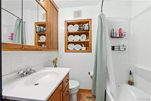 243 Hi Meadow Dr, Bailey, CO 80421 - Photo 21