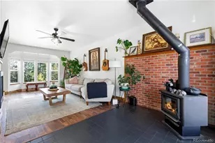 243 Hi Meadow Dr, Bailey, CO 80421 - Photo 13