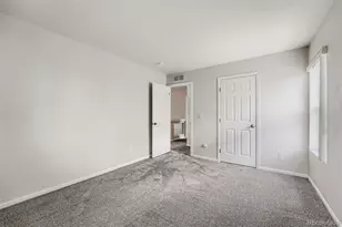 19034 Burlington Pl, Denver, CO 80249 - Photo 35