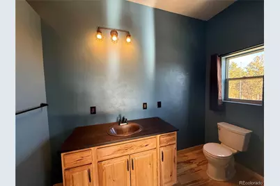 147 Sulky Court, Hartsel, CO 80449 - Photo 19