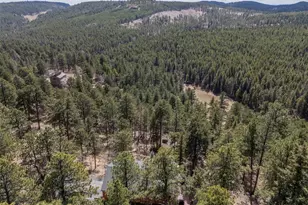 22081 Bardwell Ave, Conifer, CO 80433 - Photo 39