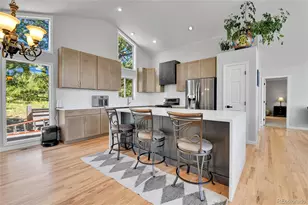 125 El Lobo Ln, Bailey, CO 80421 - Photo 5