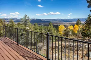 30009 Creek Run, Buena Vista, CO 81211 - Photo 47