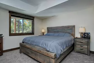 30009 Creek Run, Buena Vista, CO 81211 - Photo 31