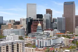1100 N Logan Street, Denver, CO 80203 - Photo 23