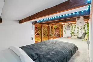 610 N Logan Street, Denver, CO 80203 - Photo 19