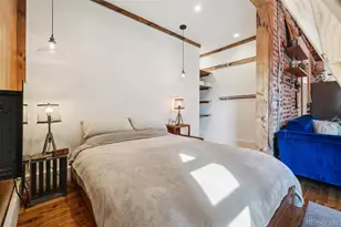 610 N Logan Street, Denver, CO 80203 - Photo 17