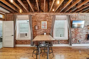 610 N Logan Street, Denver, CO 80203 - Photo 9